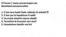 namaz sureleri - fil suresi - latince okunusu ve hd ses kalitesi - cennet-kapisi