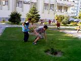 Hakem Dayak Yerse