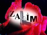 Şebnem Kısaparmak - Zalim Şebnem Kısaparmak - Zalim