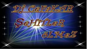 Dj Cefakar - şehitler ölmez Dj Cefakar - şehitler ölmez