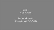 Öznesiz Şiir