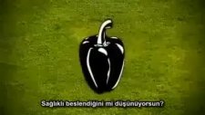 Gdo Nedir?