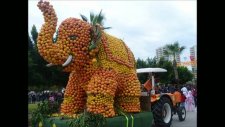 Mersin Narenciye Festivali 2011