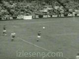 Gol