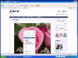 7- Web Sayfasındaki Herhangi Bir Resmi Kaydetmek