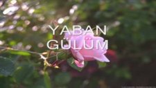 Siyami 'den Sevipte Kavusamayan Kardeşlerimize Gelsin
