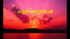 Benim Aslan Gayserilim Şiirli Görünüm