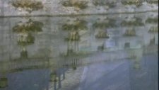 Sinad O'connor - Nothing Compares 2u