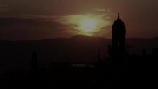 capitol dilek ağacı