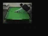 Bilardo Show