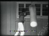 Bruce Lee Çalışıyor