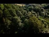 Deep Forest - Sweet Lullaby
