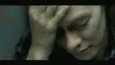 The Cranberries Animal İnstinct