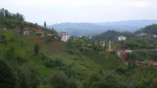birleşik makililer derneği