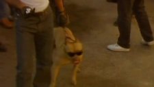 massive attack - unfinished sympathy