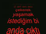 Öshqü