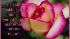 Sevilen İlahiler Ebubekir