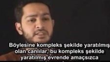 Yaşamın Amacı-İlluminati Yeni Dünya Düzeni