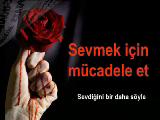 cagrı-bi sigara içimlik serseri52 aşk ve nefret
