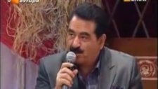 Yusuf Hayaloğlu Mezarcı Kardeş