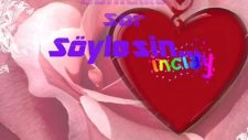 Seni Nasıl Özledim
