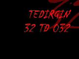 Tedirgin