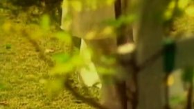 Duran Duran - Ordinary World Duran Duran - Ordinary World