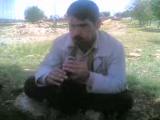Kaval