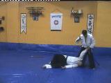 Ninbudo Aikijutsu - Real Aikido - Taihojutsu