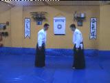 Ninbudo Aikijutsu - Real Aikido - Taihojutsu