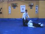 Ninbudo Aikijutsu - Real Aikido - Taihojutsu