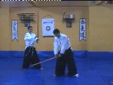 Ninbudo Aikijutsu - Real Aikido - Taihojutsu