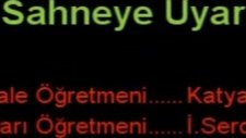 arı' nın gizemi