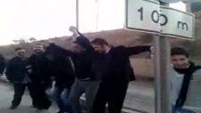 Bilvanis Yollarında İlahisi