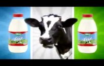Sütaş Taze Süt Reklamı