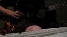 Pantera Hollow