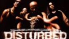 disturbed perfect ınsanity