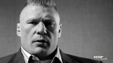 ufc 141 brock lesnar blog