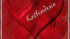 Kalbimdesin