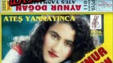 aynur doğan - yoluna yoldaş olam