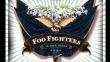Foo Fighters Virginia Moon