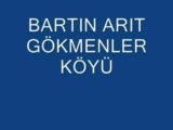 Bartin Arit