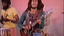 bob marley roots rock reggae