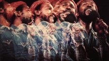 marvin gaye you