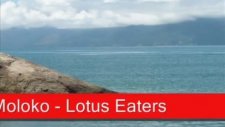 Moloko Lotus Eaters