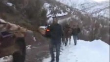 Uludere De Ölen 35 Kişinin Arkasındaki Sır Perdesi Çözüldü