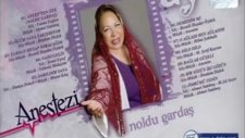 Dilber Ay Darıldım Sana Harbi Damar