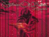 children of bodom-in your face