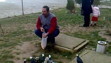 patatesci bülent
