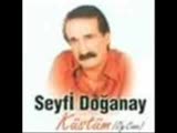 Seyfi Doğanay Topraklar Başıma